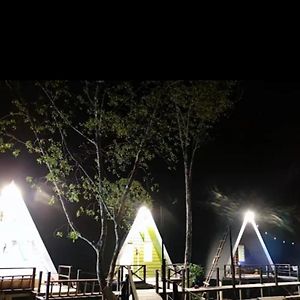 The Mangrove